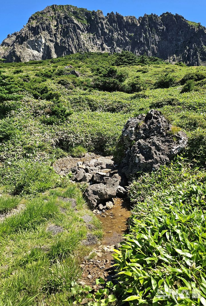[제주=뉴시스] 임재영 기자 = 6일 오전 한라산 백록담 분화구 남벽 부근 제2방아샘에서 물이 계속 흘러나오고 있다. 제1방아샘(방아오름샘)과는 5~7m 가량 떨어져 있다. 2025.07.07. ijy788@newsis.com