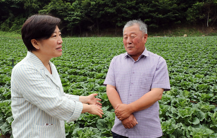 [평창=뉴시스] 강종민 기자 = 송미령 농림축산식품부 장관이 6일 강원 평창군 여름배추 재배현장을 찾아 생육 및 출하 상황을 점검하고 있다. (사진=농식품부 제공) 2025.07.06. photo@newsis.com *재판매 및 DB 금지