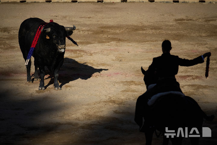 [팜플로나=AP/뉴시스] 7일(현지 시간) 스페인 북부 팜플로나에서 열린 산 페르민 축제 중 투우 경기가 열리고 있다. 올해 산 페르민 축제는 6일부터 14일까지 열리며 소몰이 행사(엔시에로)와 투우는 '전통 축제'와 '동물 학대' 사이에서 해마다 논란이 되고 있다. 2025.07.08.