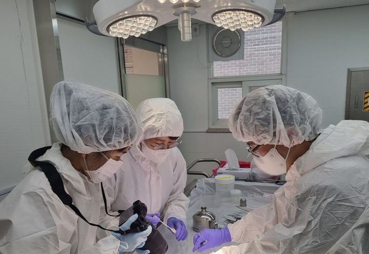 [수원=뉴시스] 부검 모습. (사진=경기도 제공) 2025.07.07. photo@newsis.com *재판매 및 DB 금지