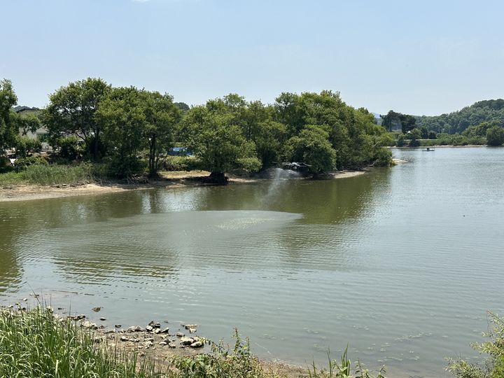 [세종=뉴시스] 한국농어촌공사는 여름철 폭염기를 맞아 농업용 저수지 녹조 확산을 막기 위한 '선제적 대응' 체계를 가동한다고 7일 밝혔다. (사진=농어촌공사) 2025.07.07. photo@newsis.com *재판매 및 DB 금지