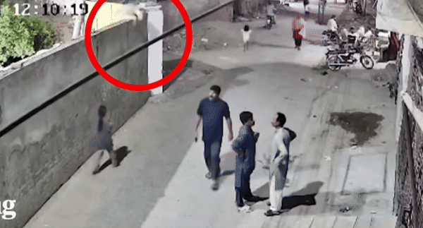 [뉴시스]파키스탄 라호르에서 애완용 사자가 탈출해 사람들을 공격했다. (사진=가디언) 2025.7.6 *재판매 및 DB 금지 *재판매 및 DB 금지