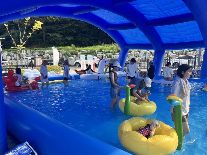 [대전=뉴시스]대전동물보호사업소의 반려동물 물놀이장. 2025. 07. 07 photo@newsis.com *재판매 및 DB 금지