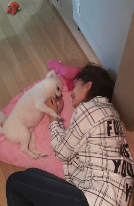[서울=뉴시스] 배우 지소연이 반려견과의 이별 소식을 전하며 애틋한 마음을 드러냈다. (사진=지소연 인스타그램 캡처) 2025.07.07. photo@newsis.com  *재판매 및 DB 금지