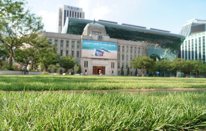 [서울=뉴시스] 서울광장숲. 2025.07.08 (사진 제공=서울시) photo@newsis.com *재판매 및 DB 금지