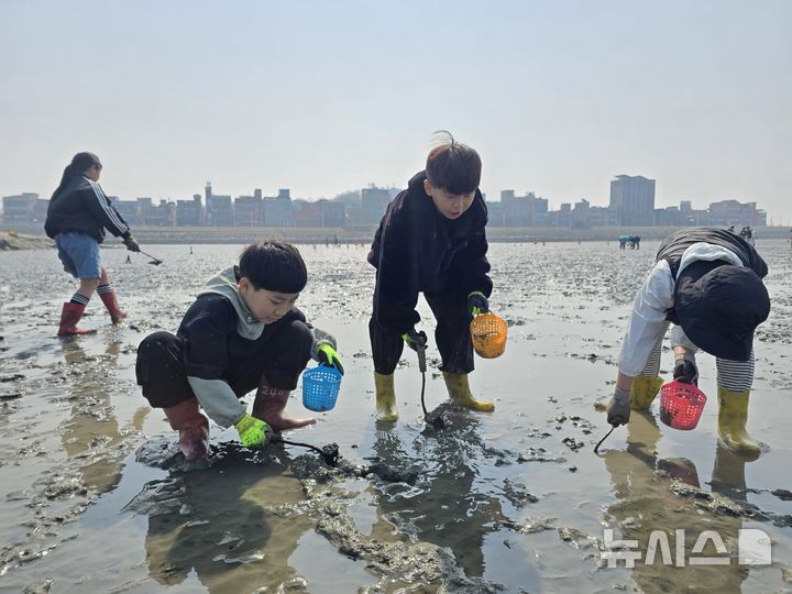 [시흥=뉴시스] 갯벌 체험에 참가한 어린이들이 조개 캐기를 하고 있다. (사진=시흥시 제공).2025.07.07.photo@newsis.com *재판매 및 DB 금지