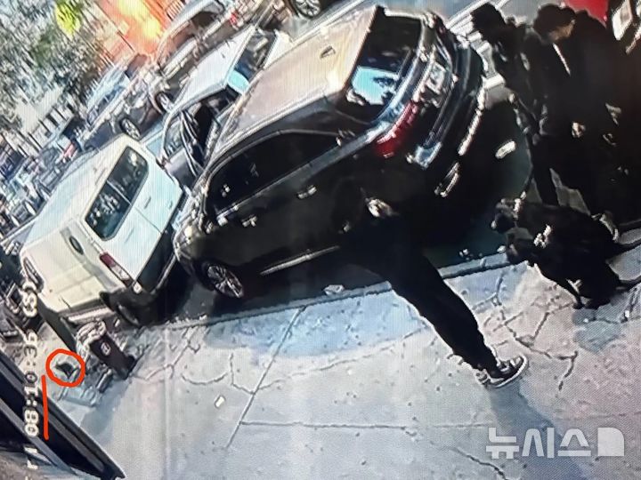 [뉴시스] 미국 뉴욕에서 핏불 주인이 핏불 2마리를 고의로 풀어 고양이를 공격하게 했다. (사진=뉴욕포스트) 2025.7.6 