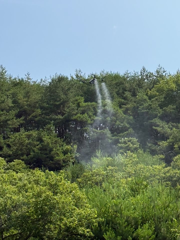 [산청=뉴시스] 산청군 밤나무 해충 드론방제 (사진=산청군 제공) 2025. 07. 08. photo@newsis.com&nbsp; *재판매 및 DB 금지