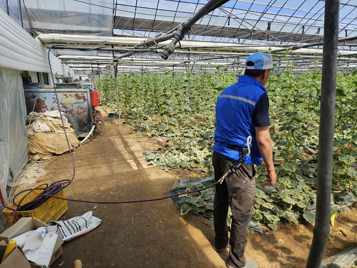 [아산=뉴시스] 에어냉각조끼를 착용한 농업인이 작업을 하고 있다.(사진=아산시 제공).2025.07.08.photo@newsis.com. *재판매 및 DB 금지