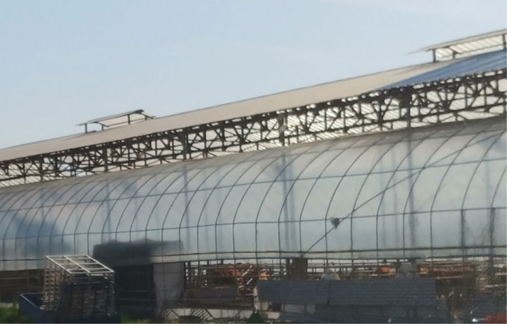 [춘천=뉴시스] 8일 강원특별자치도(도지사 김진태)는 여름철 폭염 등에 대응하기 위해 가축방역관, 공수의, 축협 직원으로 구성된 5개 반 18팀 54명의 ‘동물의료지원단’을 편성해 본격 운영에 들어갔다 고 밝혔다. 강원특별자치도 제공. *재판매 및 DB 금지