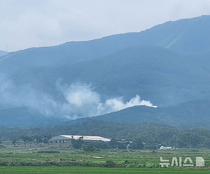 경주시 안강읍 산대리 야산 화재 현장