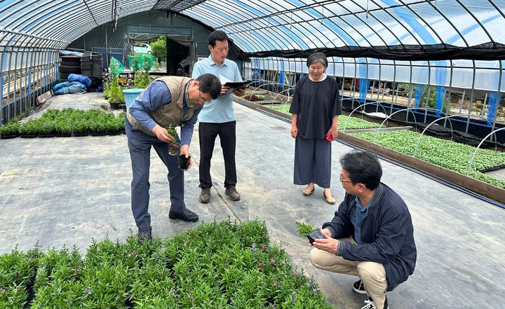 [대전=뉴시스] 한국수목원정원관리원 국립백두대간수목원 관계자가 지역상생 계약재배 대상 농가를 찾아 식물 재배기술을 지도하고 있다.(사진=한수정 제공) *재판매 및 DB 금지
