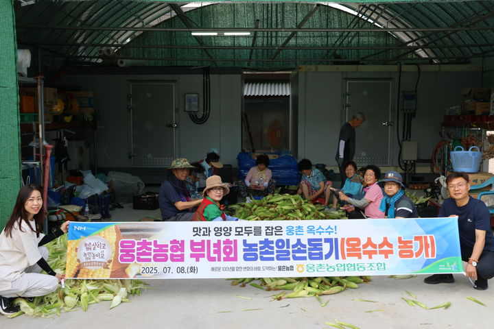 [울산=뉴시스] 울산 웅촌농협은 8일 울주군 웅촌면 고연리의 한 옥수수 재배 농가를 방문해 농촌 일손돕기를 했다고 밝혔다. (사진= 웅촌농협 제공) 2025.07.08.photo@newsis.com *재판매 및 DB 금지