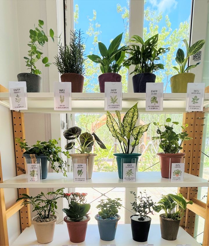 [대전=뉴시스] 국립정원문화원서 판매중인 반려식물들.(사진=한국수목원정원관리원 제공) *재판매 및 DB 금지