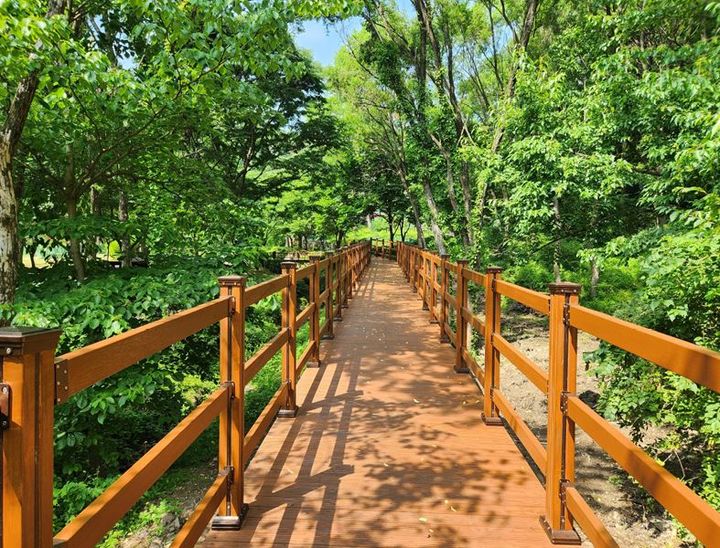 [용인=뉴시스] 경기 용인자연휴양림 숲속쉼터 무장애 산책로. (사진=용인시 제공) 2025.07.09. photo@newsis.com *재판매 및 DB 금지