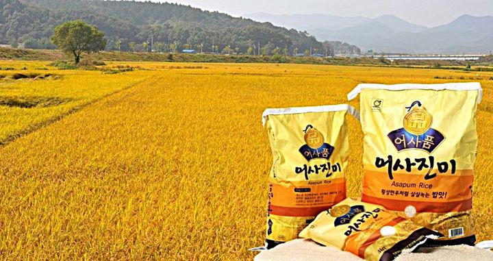 횡성쌀 '어사진미'. *재판매 및 DB 금지