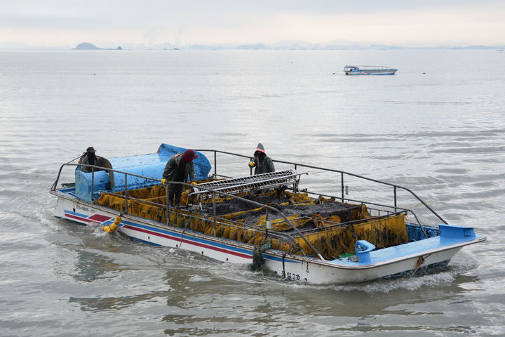 [서천=뉴시스] 충남 서천군 김.&nbsp; *재판매 및 DB 금지
