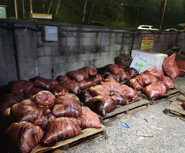 [울산=뉴시스] 박수지 기자 = 지난해 6월 울산 동구 방어동 수협위판장 건물 인근 담벼락에 버려진 고래 사체. (사진=전국민주연합노동조합) 2025.07.09. photo@newsis.com *재판매 및 DB 금지