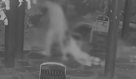 [뉴시스] 서울 한강공원서 7살 딸을 폭행, 질질 끌고 가는 아빠. (출처=채널A) *재판매 및 DB 금지