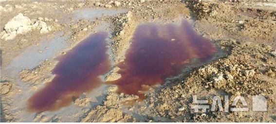 [포항=뉴시스] 송종욱 기자 = 포항환경운동연합은 9일 성명서를 통해 "포항시 남구 동해면 동해지구 토지구획정리 사업지에 반출·반입 경로가 밝혀지지 않은 대량 오염토가 무단 적치돼 법적·행정적 조치는 물론 오염토를 반출해 원상복구 하라"고 주장했다. 사진은 동해지구 토지구획정리 사업지에 대량 오염토에서 나온 침출수가 고인 모습. (사진=환경운동연합 제공) 2025.07.09. photo@newsis.com
