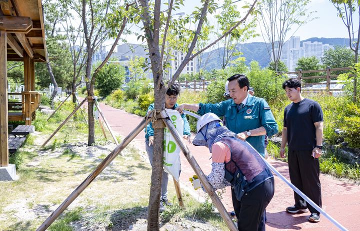 [울산소식]북구, 폭염 피해 최소화 관수작업 등