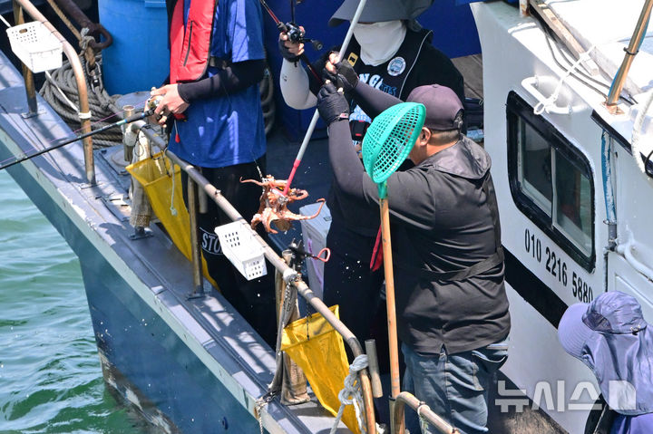 [사천=뉴시스] 차용현 기자 = 문어 금어기가 해제된 9일 오후 경남 사천시 삼천포항 인근 해상에서 강태공들이 참문어 낚시를 하고 있다. 2025.07.09.con@newsis.com