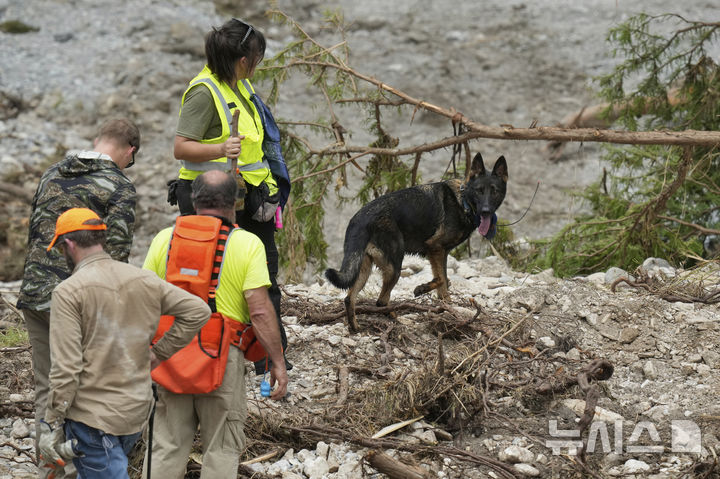 [헌트=AP/뉴시스] 7월 9일 미 텍사스주 헌트의 홍수 피해 지역에서 개 한 마리가 과달루페강 인근 수색 작업을 돕고 있다. 2025.11.18.