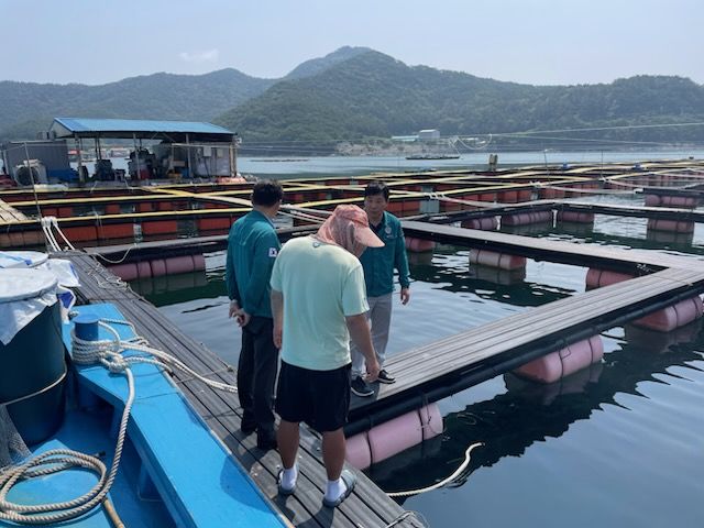 [통영=뉴시스] 신정철 기자= 경남 통영시는 지난 3일 욕지도 서편 해역에 고수온 예비특보가 발령됨에 따라 피해최소화 대책반을 구성·운영하는 등 선제적 대응체계에 돌입했다고 10일 밝혔다.사진은 지난 9일 주변 해역보다 높은 표층수온을 기록 중인 도산면·산양읍 일대 가두리 양식장을 대상으로 ▲먹이 급이 조절 안내 ▲양식어류 밀식 자제 요청 ▲산소공급기, 차광막 등 피해저감 시설장비 점검 등 피해 최소화를 위한 행정지도를 펼치고 있는 모습.(사진=통영시 제공).2025.07.10. photo@newsis.com *재판매 및 DB 금지