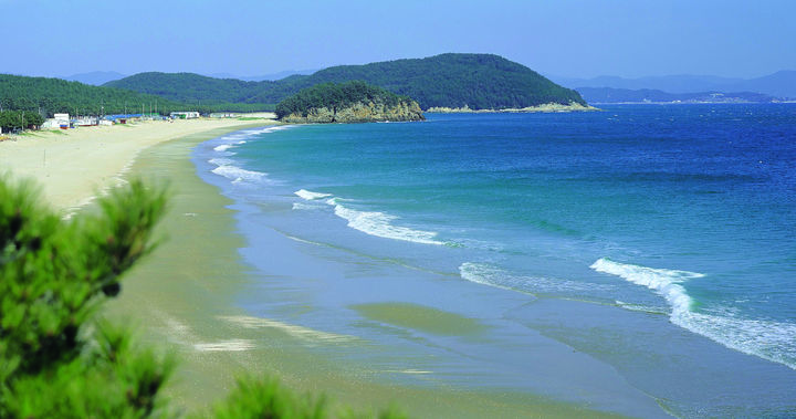[보령=뉴시스] 보령시 원산도해수욕장 전경. (사진=보령시청 제공) *재판매 및 DB 금지