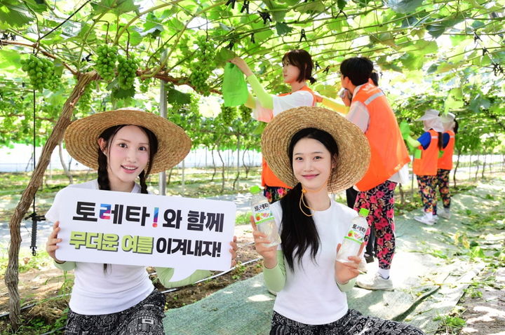 [서울=뉴시스] 지난 9일 경기도 안성시 서운면에서 포도 포장 봉사활동 중인 상명대학교 학생들이 모델들과 함께 폭염 속 수분보충의 중요성을 알리고 있다.(사진=한국코카콜라 제공) *재판매 및 DB 금지