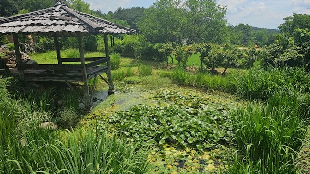 [부여=뉴시스] 부여군 2025년 우수정원 콘테스트 입상 정원의 모습.  *재판매 및 DB 금지