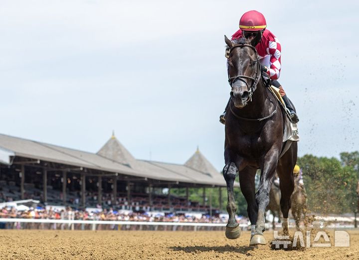[서울=뉴시스]한국마사회 닉스고 자마 유잉. (사진=한국마사회 제공)
