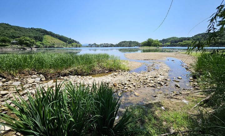 [뉴시스 앵글]가뭄 경고 속 바닥 드러내는 제천 의림지