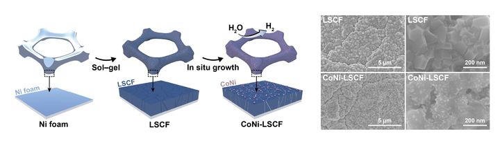 CoNi-LSCF 전극의 합성 모식도(왼쪽),표면 이미지. (사진=고려대 제공) *재판매 및 DB 금지