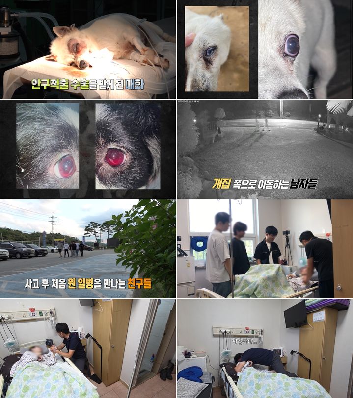 [서울=뉴시스] MBC TV '실화탐사대'가 10일 오후 9시 방송된다. (사진=MBC TV '실화탐사대' 제공) 2025.07.10. photo@newsis.com *재판매 및 DB 금지