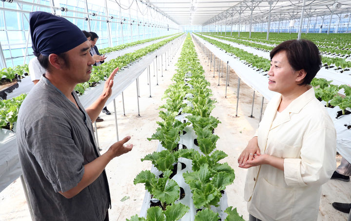 [고창=뉴시스] 강종민 기자 = 송미령 농림축산식품부 장관이 10일 지속되는 폭염으로 인한 농업분야 피해예방을 위해 전북 고창군의 한 상추재배 농가를 찾아 농작물 생육상황과 수급 동향을 점검하고 있다. (사진=농식품부 제공) 2025.07.10. photo@newsis.com *재판매 및 DB 금지