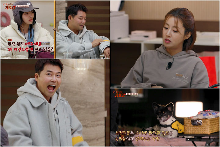 [서울=뉴시스] 13일 오전 10시 30분 방송되는 JTBC 예능 프로그램 '집 나가면 개호강'에서 전현무가 자리를 비웠던 '개호강 유치원'에 다시 돌아온다. (사진=JTBC ‘집 나가면 개호강 ’제공) 2025.07.11. photo@newsis.com *재판매 및 DB 금지