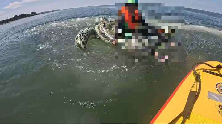 [태안=뉴시스] 태안해경이 12일 오전 10시58분께 안면읍 백사장해수욕장에서 고무보트를 타고 물놀이하다 표류 중인 아이에게 다가가고 있다. (사진=태안해양경찰서 제공) photo@newsis.com  *재판매 및 DB 금지