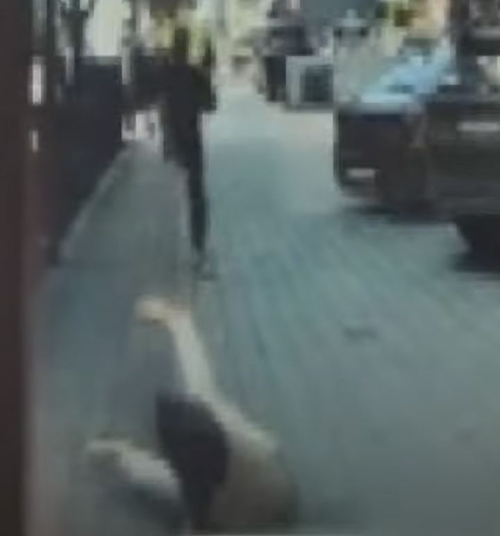[서울=뉴시스] 서울 강남구 한복판에서 한 여성이 출근 도중 일면식 없는 남성에게 종아리를 가격당하는 사건이 발생했다. (사진 = 'JTBC News' 유튜브 캡처) 2025.07.13. *재판매 및 DB 금지