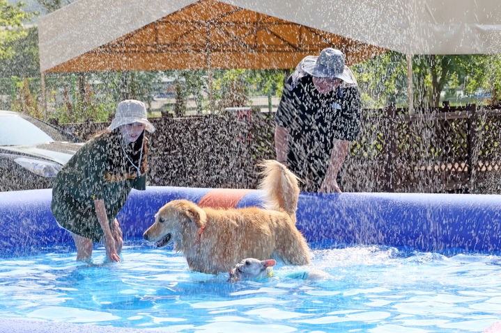 [임실=뉴시스] 김종효 기자 = 지난 12일 전북 임실 ‘오수의견 국민여가캠핑장’을 찾은 관광객이 동반한 반려견들과 함께 물놀이를 즐기고 있다. (사진=임실군 제공) 2025.07.13. photo@newsis.com *재판매 및 DB 금지