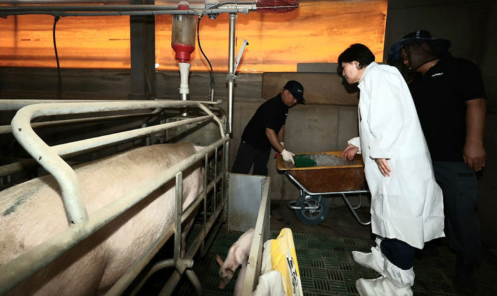 [홍성=뉴시스] 강종민 기자 = 송미령 농림축산식품부 장관이 13일 충남 홍성군의 한 양돈 농가를 찾아 지방자지단체와 농협, 농가의 폭염 피해 대응 상황을 점검하고 있다. (사진=농식품부 제공) 2025.07.13. photo@newsis.com *재판매 및 DB 금지