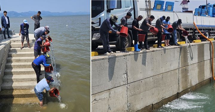 [고창=뉴시스] 고창군의 '수산종자 매입방류사업'에 따라 넙치, 감성돔 등의 치어가 방류되고 있다. *재판매 및 DB 금지