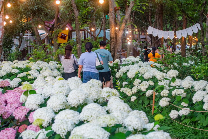 [진주=뉴시스]진주시, 2025년 대한민국 정원산업박람회.(사진=진주시 제공).2025.07.14.photo@newsis.com *재판매 및 DB 금지