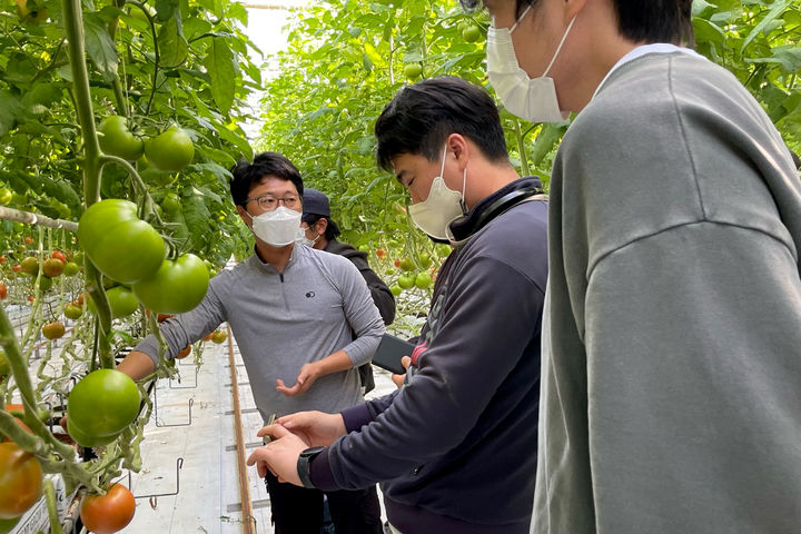 [광주=뉴시스] 광주농업기술센터 토마토 재배 교육. (사진=광주농업기술센터 제공). photo@newsis.com *재판매 및 DB 금지