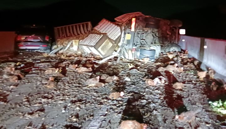 [문경=뉴시스] 경북 문경시 불정동 중부내륙고속도로에 화물차가 전복돼 있다. (사진=경북소방본부 제공) 2025.07.15. photo@newsis.com *재판매 및 DB 금지