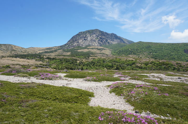 [서울=뉴시스] 한라산 모세왓 유문암질 각력암 지대 전경 (사진=국가유산청 제공) 2025.07.15. photo@newsis.com *재판매 및 DB 금지