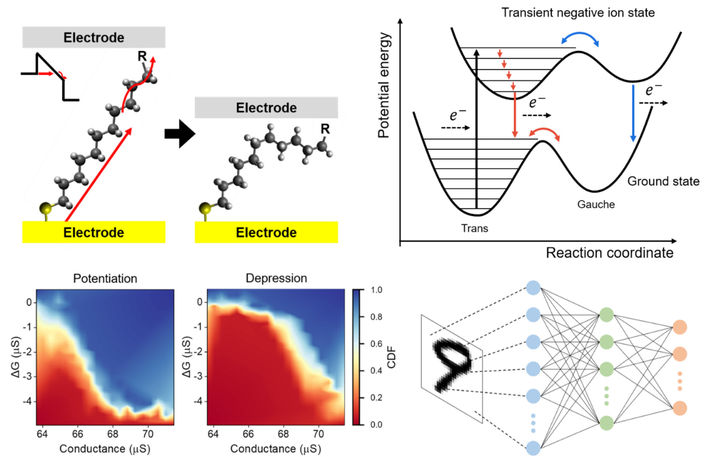 분자 멤리스터의 구동 원리 및 인공시냅스 특성. (사진=서강대 제공) *재판매 및 DB 금지