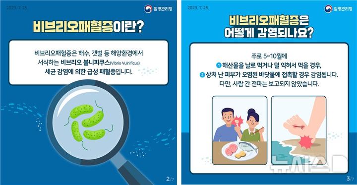 [창원=뉴시스]비브리오패혈증과 감염 경로.