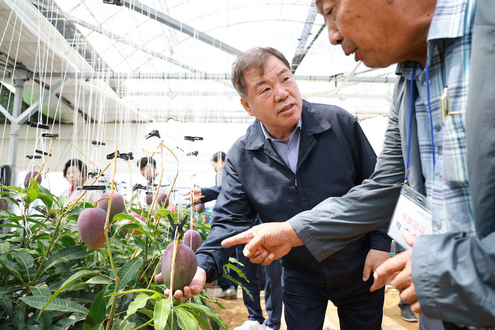 [산청=뉴시스] 신소득 작물 애플망고 농가 방문 (사진=산청군 제공) 2025. 07. 15. photo@newsis.com *재판매 및 DB 금지