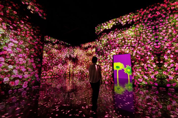 [서울=뉴시스] SK쉴더스 물리보안 브랜드 ADT캡스가 몰입형 미디어아트 전시관인 아르떼뮤지엄에 특화 보안 서비스를 도입했다고 15일 밝혔다. (사진=SK쉴더스 제공) *재판매 및 DB 금지